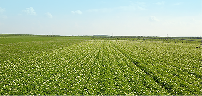 恒峰g22 - 官方网站 -- 天天有惊喜